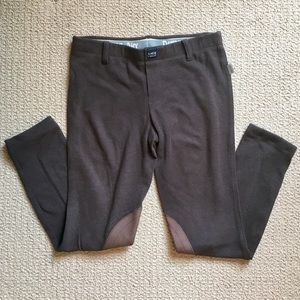 Devon-Aire X-Wear Ladies Hipster Breeches (M)